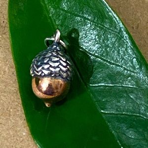 James Avery RETIRED Acorn 3D Charm Pendant Silver Copper NIB UNUSED UNWO…